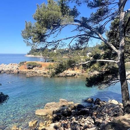 Appartement Au Coeur De Bandol Dış mekan fotoğraf